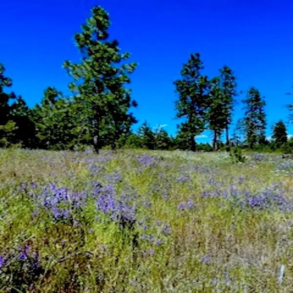 Lot A Kronos Short Plat Ln, Davenport, WA 99122