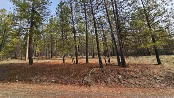 NNA S Serenity Ln, Valleyford, WA 99036