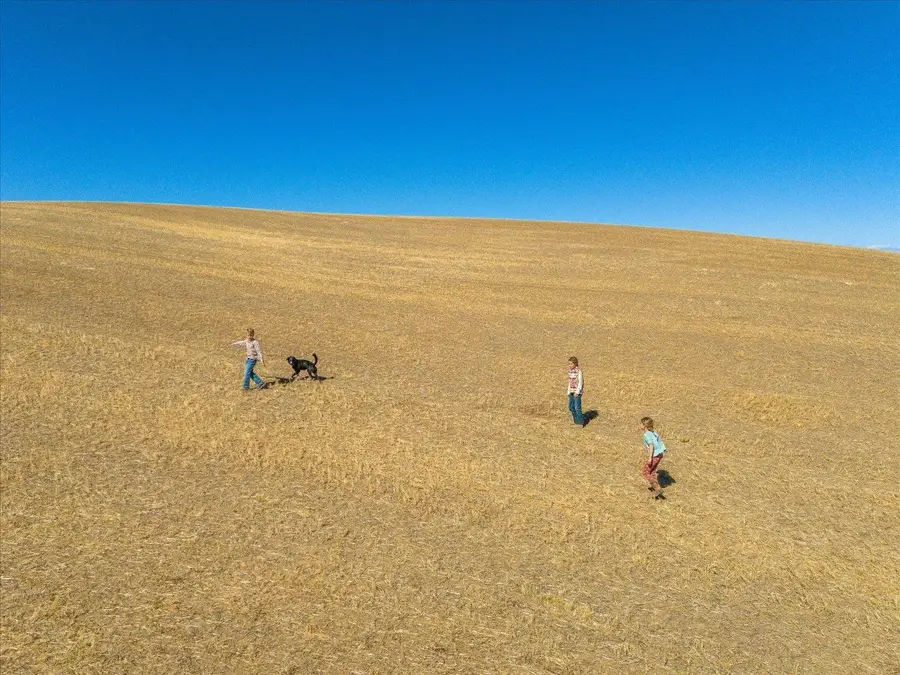 XXX E Cornwall Rd, Spangle, WA 99031 - #2