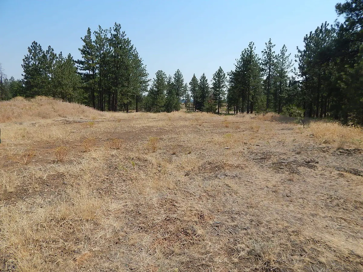 249014 W Kitt Rd, Reardan, WA 99029 - #1