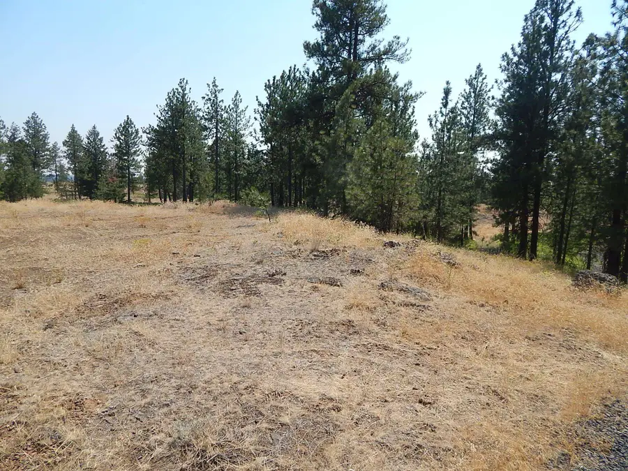 249014 W Kitt Rd, Reardan, WA 99029 - #2