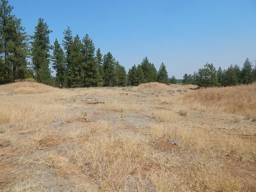 249014 W Kitt Rd, Reardan, WA 99029 - #3