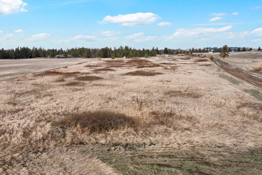 241xx W Kitt Rd, Reardan, WA 99029 - #3