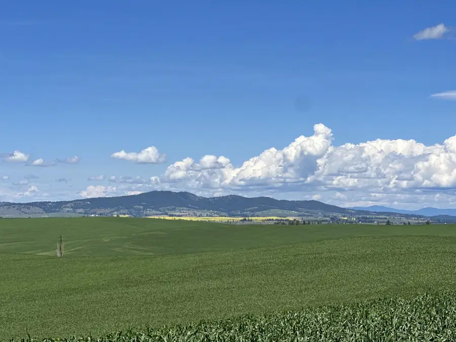 Unassigned Address Rd, Spangle, WA 99031 - Image #3