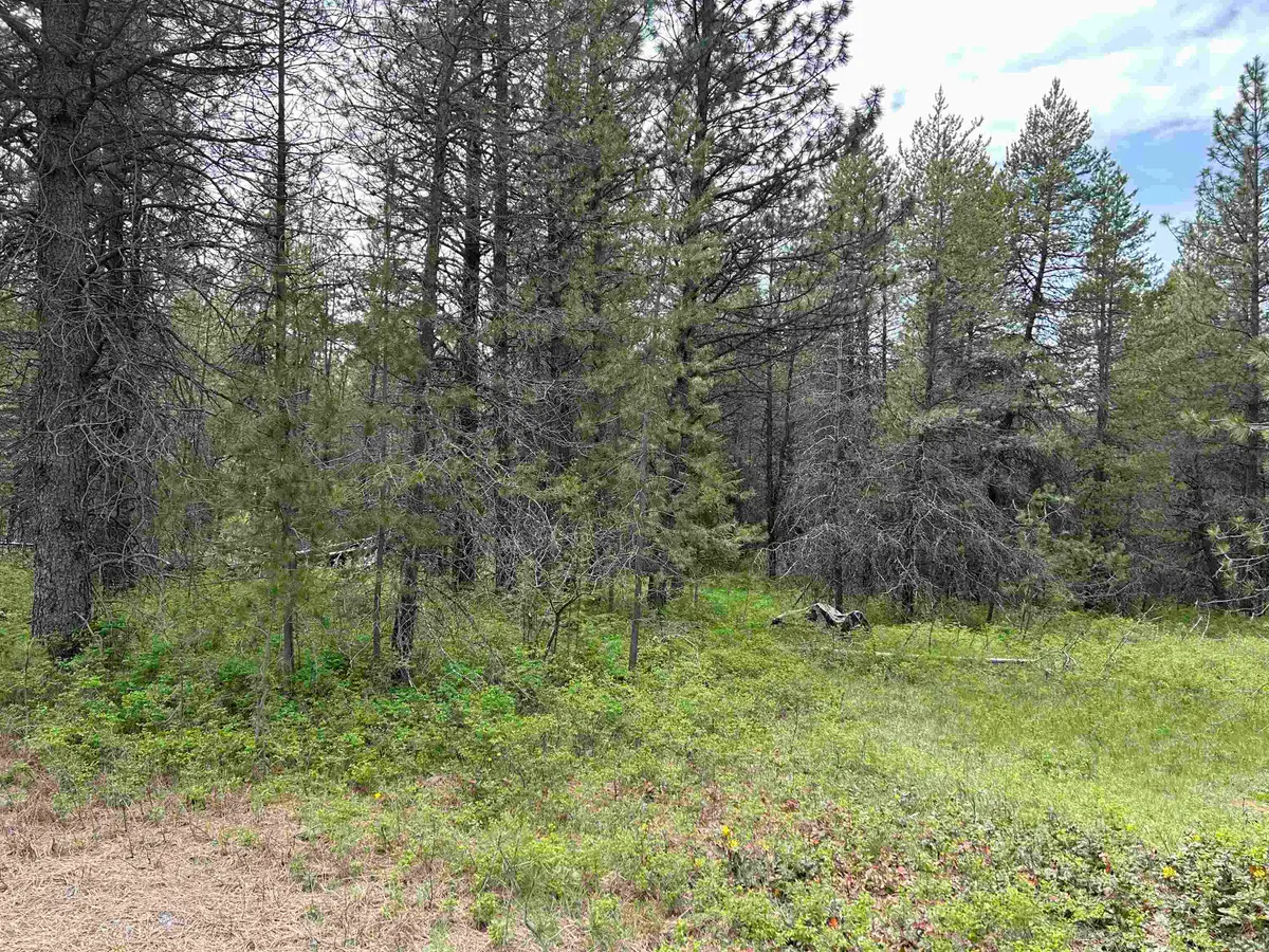 xxx N Division Rd, Deer Park, WA 99006 - #1