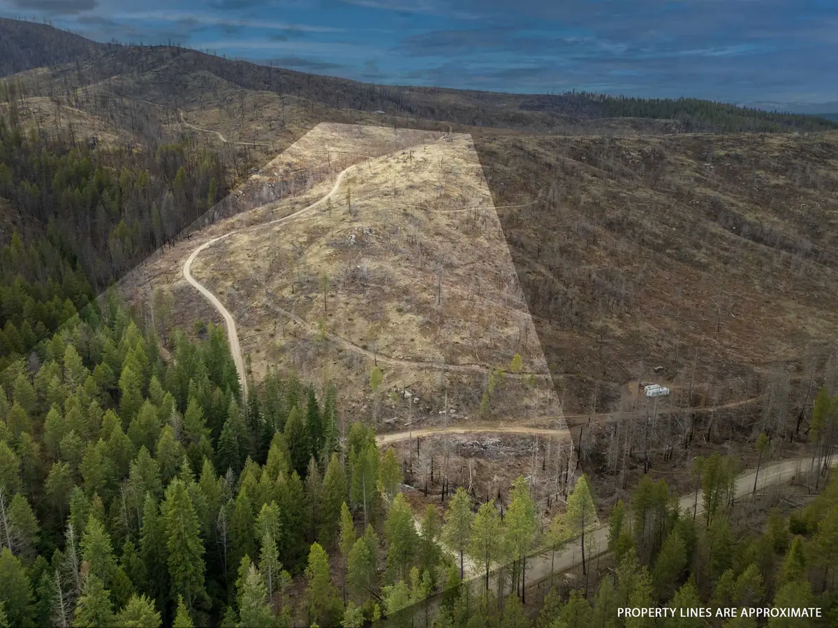 Lot 7 Rail Canyon Rd, Springdale, WA 99173 - Image #1