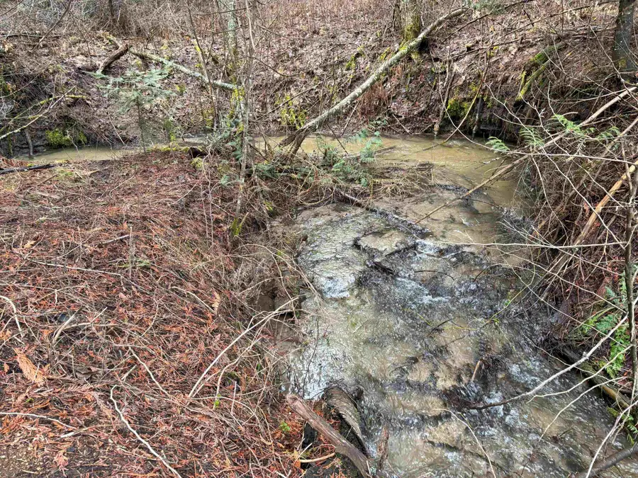 Lot 7 Rail Canyon Rd, Springdale, WA 99173 - Image #3