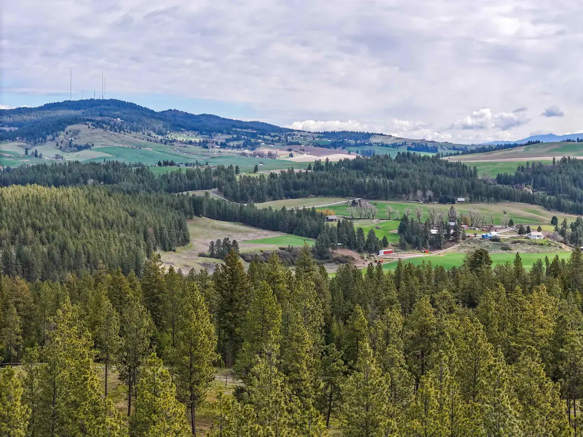 22XX Miller Rd, Spangle, WA 99031 - #1
