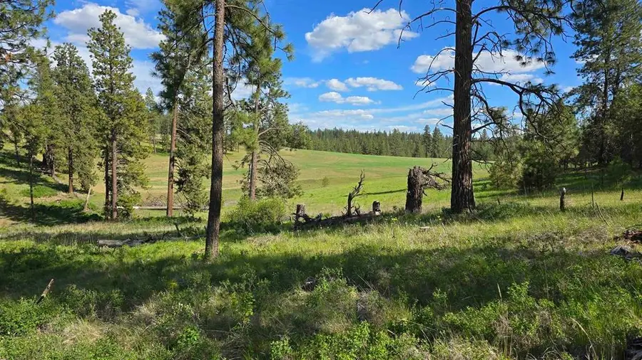 22XX Miller Rd, Spangle, WA 99031 - #2