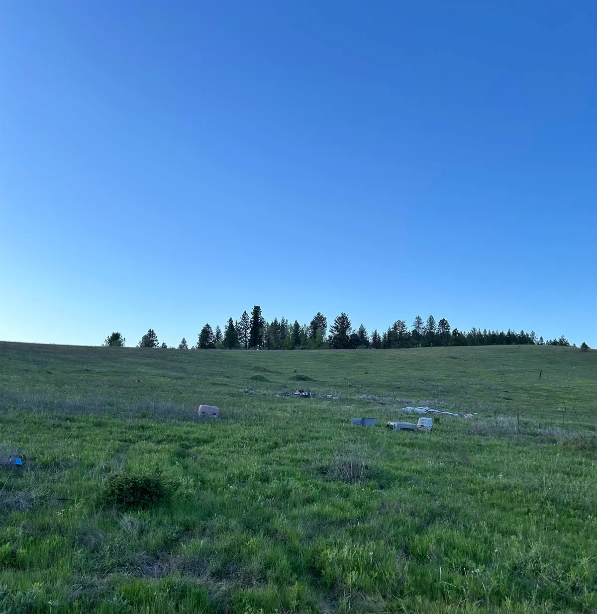 117XX E Tallman Rd, Chattaroy, WA 99003 - Image #1