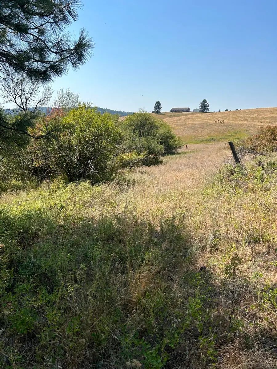 117XX E Tallman Rd, Chattaroy, WA 99003 - Image #3