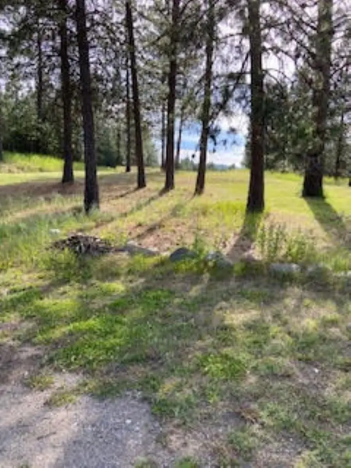 108 S Main St, Springdale, WA 99173 - Image #1