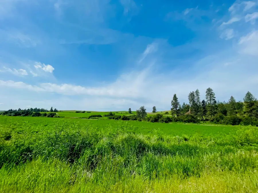 11900 Hays Rd, Spangle, WA 99031 - Image #2