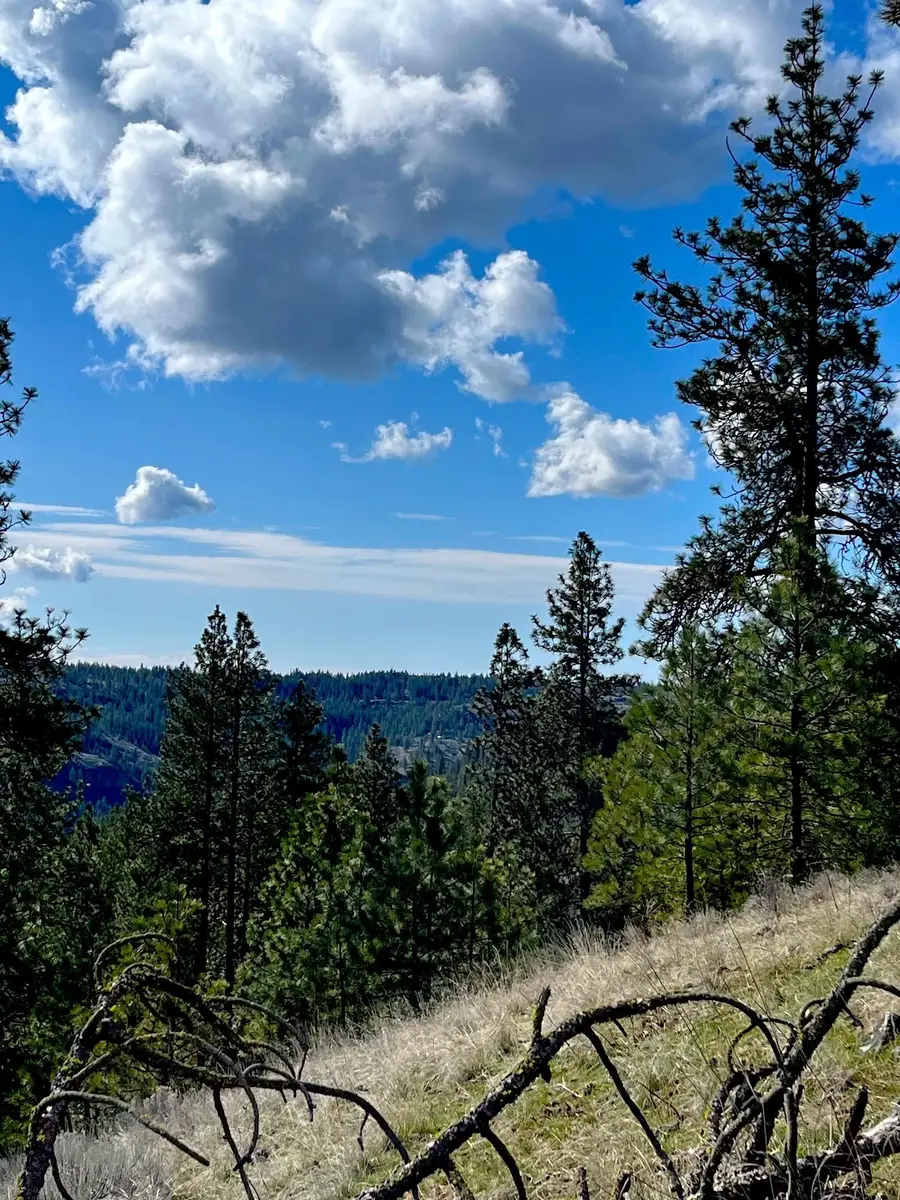 34430 N Partridge Ln, Davenport, WA 99122 - Image #3