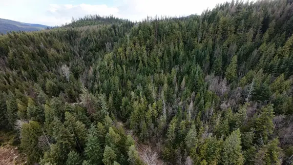 7301 Wa-31 Hwy, Ione, WA 99139