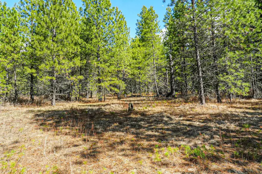 XXX E Slaton Rd, Deer Park, WA 99006 - Image #3