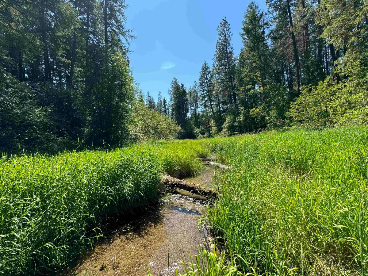 510 N A St, Springdale, WA 99173 - Image #1