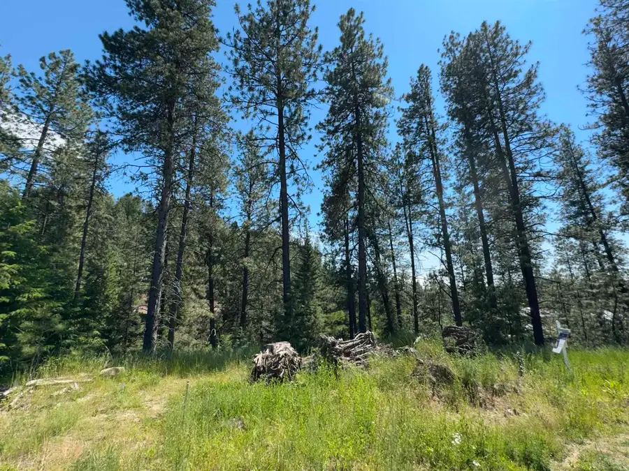 340 N Beck Ln, Springdale, WA 99173 - Image #2