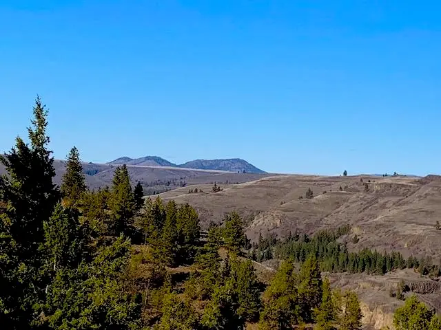 31775 E Ruffed Grouse Dr, Davenport, WA 99122 - Image #1