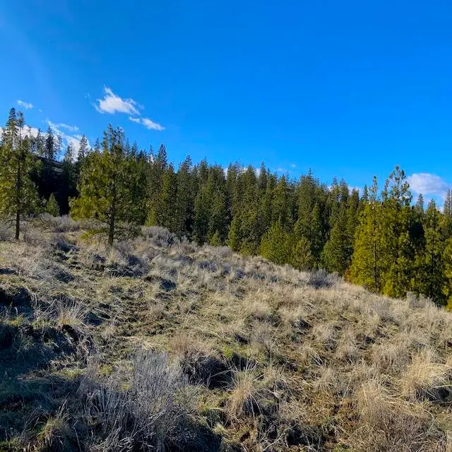 31775 E Ruffed Grouse Dr, Davenport, WA 99122 - Image #3