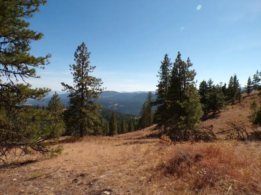 #L Morning Star Ln, Inchelium, WA 99138 - #2