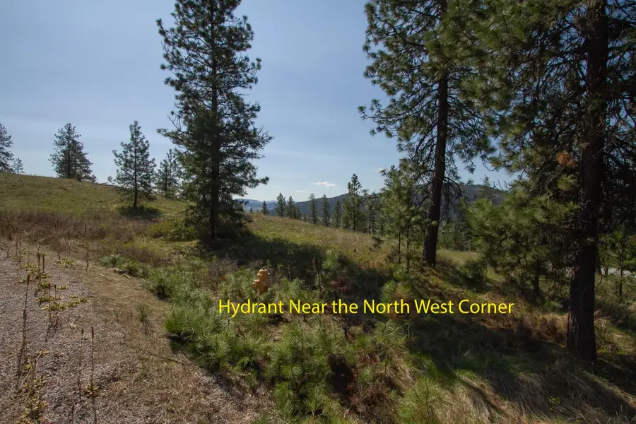 1622 Palmer Loop, Chewelah, WA 99109 - #2