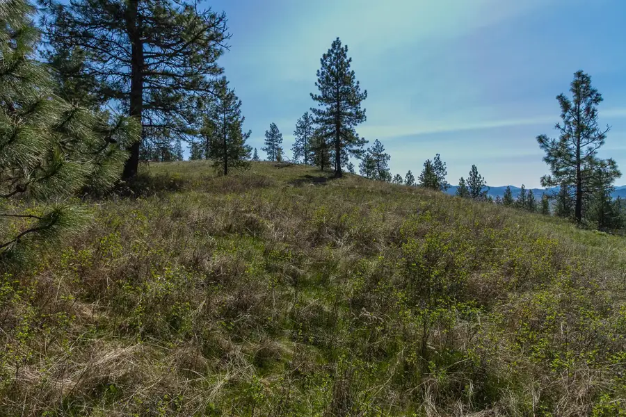 1622 Palmer Loop, Chewelah, WA 99109 - #3