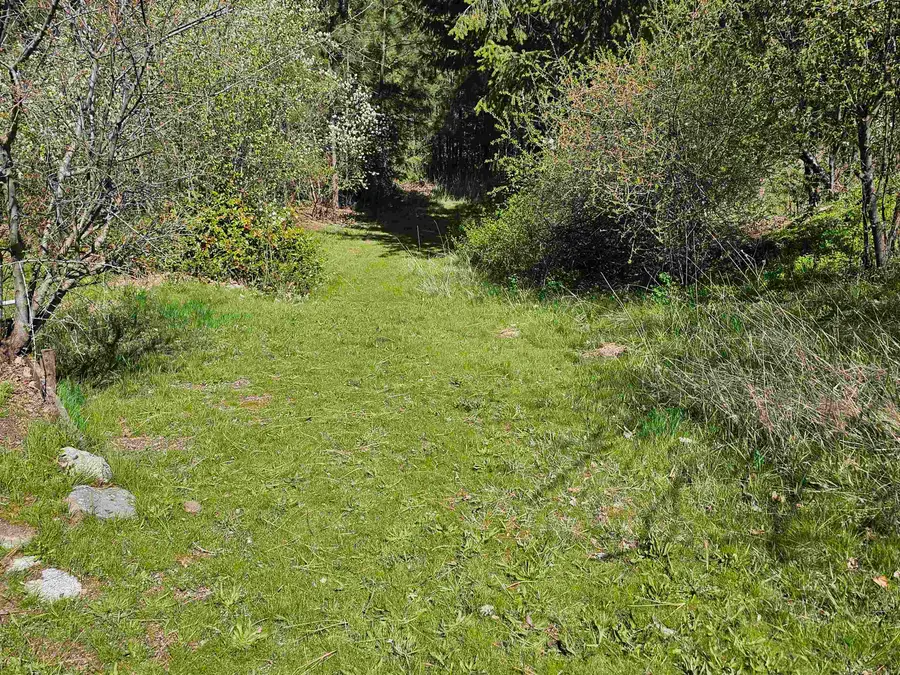 1001 S Haven St, Spokane, WA 99202 - Image #3