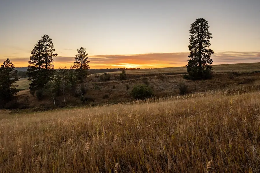 10900 S Silver Hill Rd, Spokane, WA 99223 - Image #2