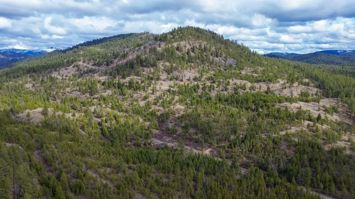 352X Greene Rd, Valley, WA 99181 - Image #1