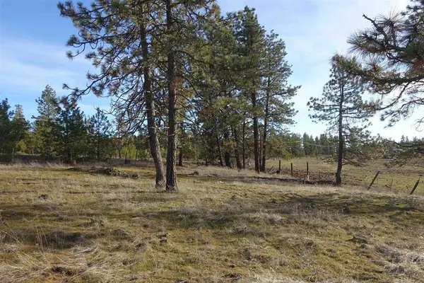 20xxx S Parker Rd, Spangle, WA 99031