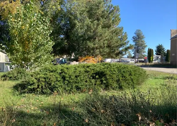 unassigned Main & 2nd St, Mead, WA 99021-0000