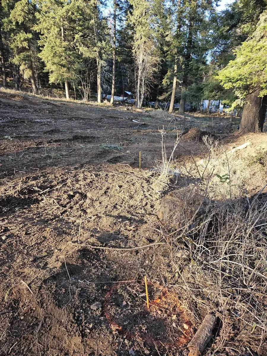 24321 E Hauser Lake Rd, Newman Lake, WA 99025 - Image #2