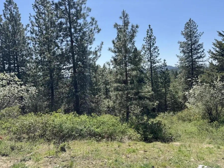 1372 Valley View Dr, Newport, WA 99156 - Image #3