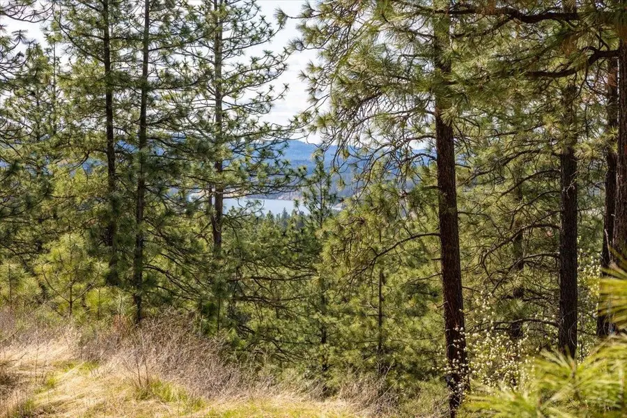 0 N Mathias Ln, Nine Mile Falls, WA 99026 - Image #3