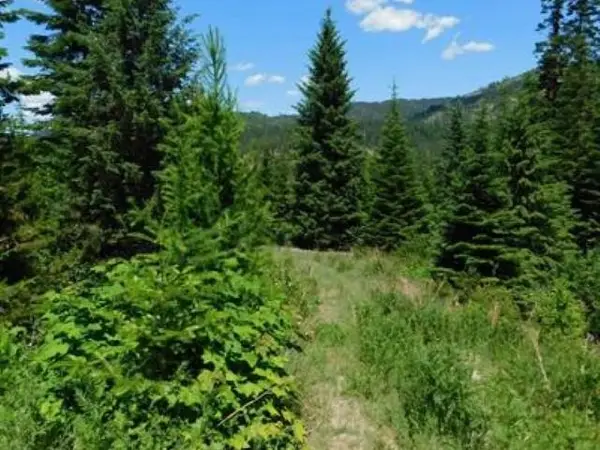 NNA Stanley Dr, Newport, WA 99156