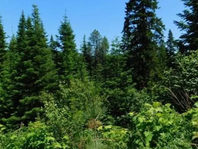 NNA Stanley Dr, Newport, WA 99156 - Image #3