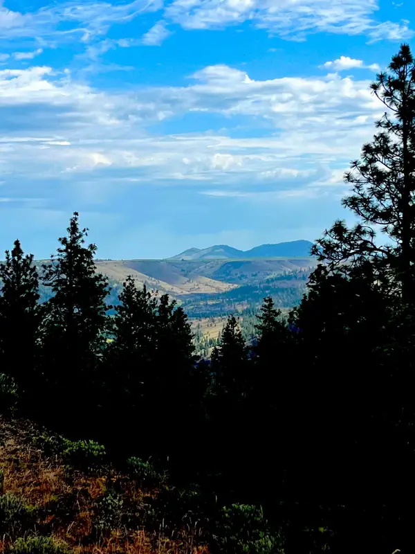 34645 N Partridge Ln, Davenport, WA 99122