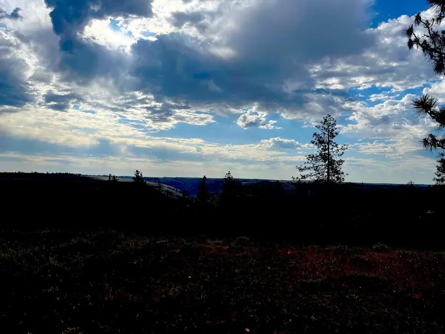 34645 N Partridge Ln, Davenport, WA 99122 - Image #2