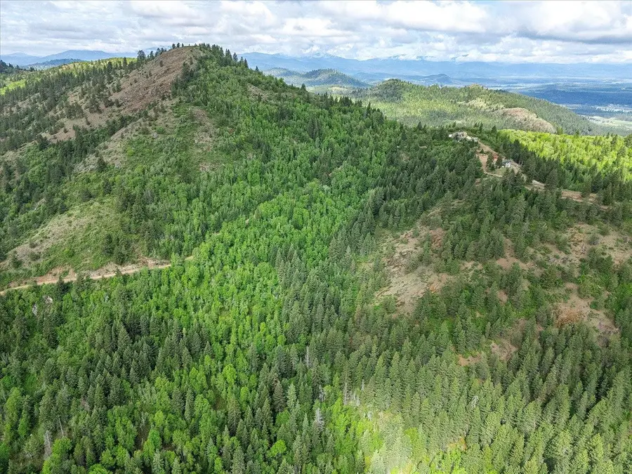 NKA Rocky Mountain Rd, Newport, WA 99156 - Image #3