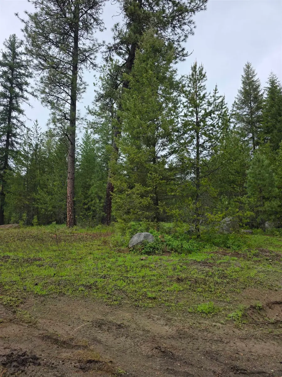 NNA Carpenter Dr, Newport, WA 99156 - Image #2