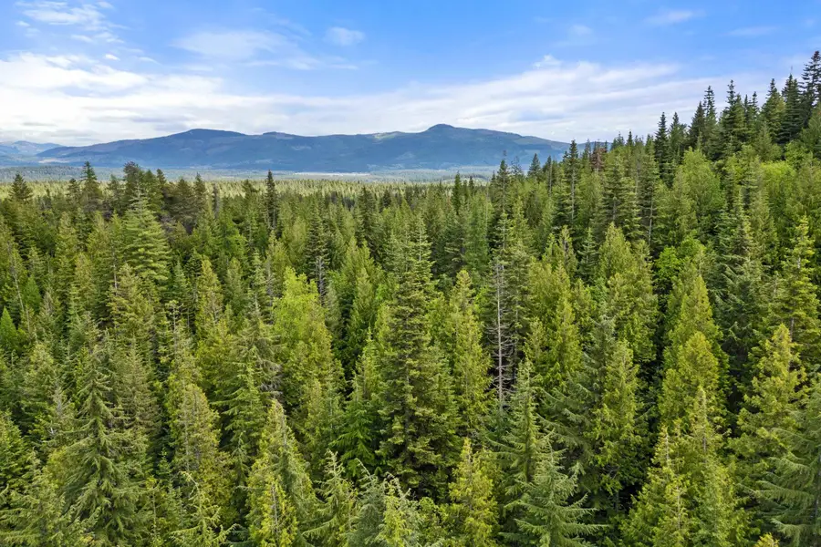 1151 Bergen Rd, Newport, WA 99156 - Image #3