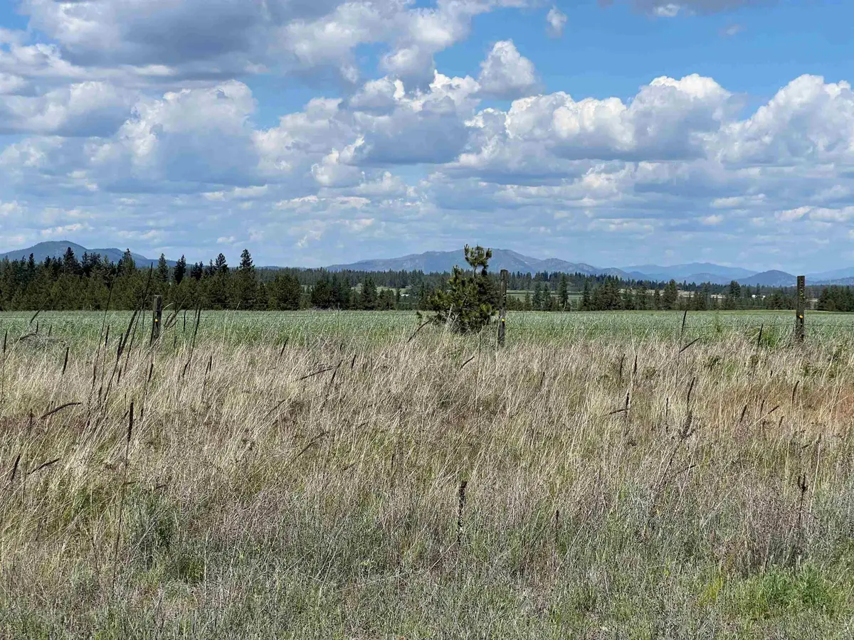 XXX N Wood Rd, Reardan, WA 99029 - Image #1