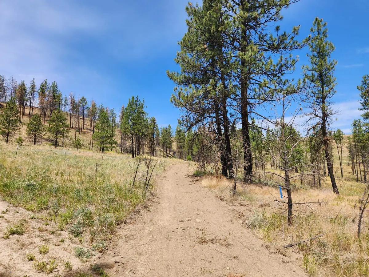 31XYZ Hawk Creek Ranch Rd, Davenport, WA 99122 - Image #1