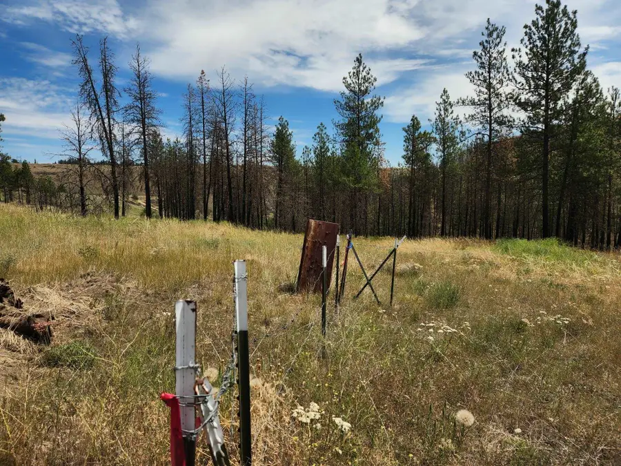 31XYZ Hawk Creek Ranch Rd, Davenport, WA 99122 - Image #2