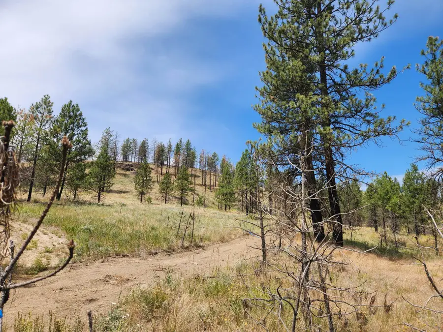 31XYZ Hawk Creek Ranch Rd, Davenport, WA 99122 - Image #3