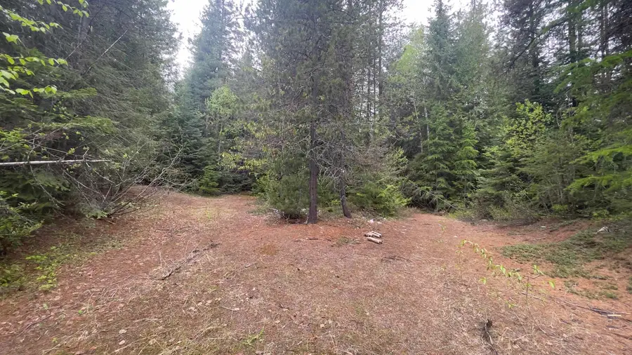 3084 Sicley Rd, Cusick, WA 99119 - Image #2