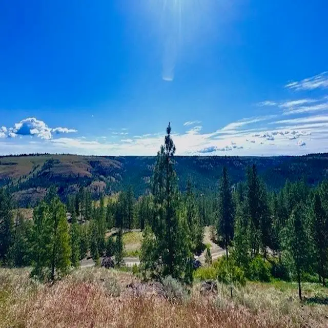 34442 N Partridge Ln, Davenport, WA 99122-5302 - Image #3