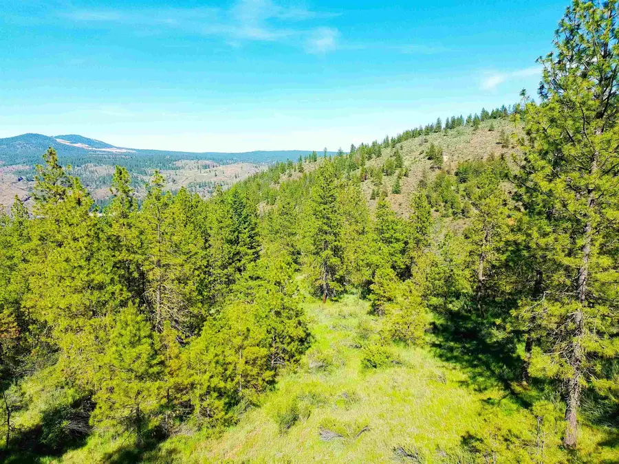 XX00 Timber Bay Dr, Davenport, WA 99122 - Image #2