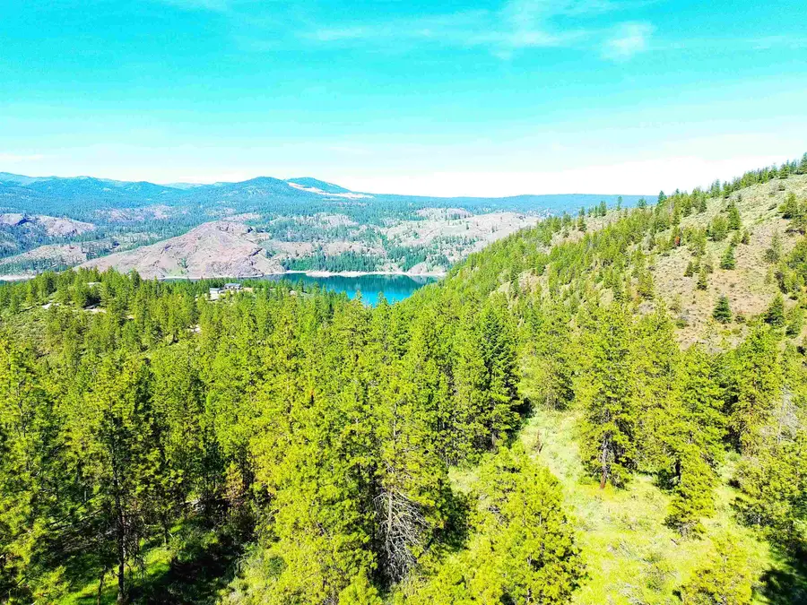 XX00 Timber Bay Dr, Davenport, WA 99122 - Image #3